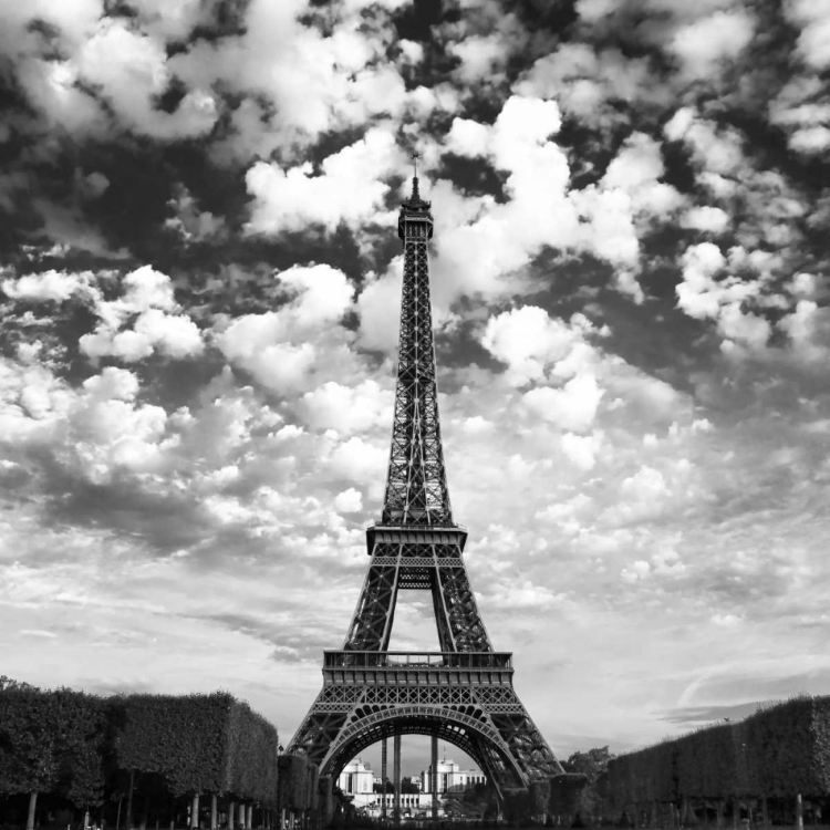 Picture of VIEWING THE EIFFEL