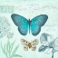 Picture of BUTTERFLIES AND BOTANICAL 2
