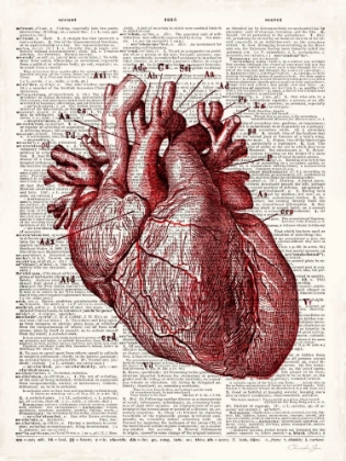 Picture of VINTAGE ANATOMY HEART