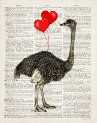 Picture of OSTRICH IN LOVE