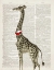 Picture of DAPPER GIRAFFE