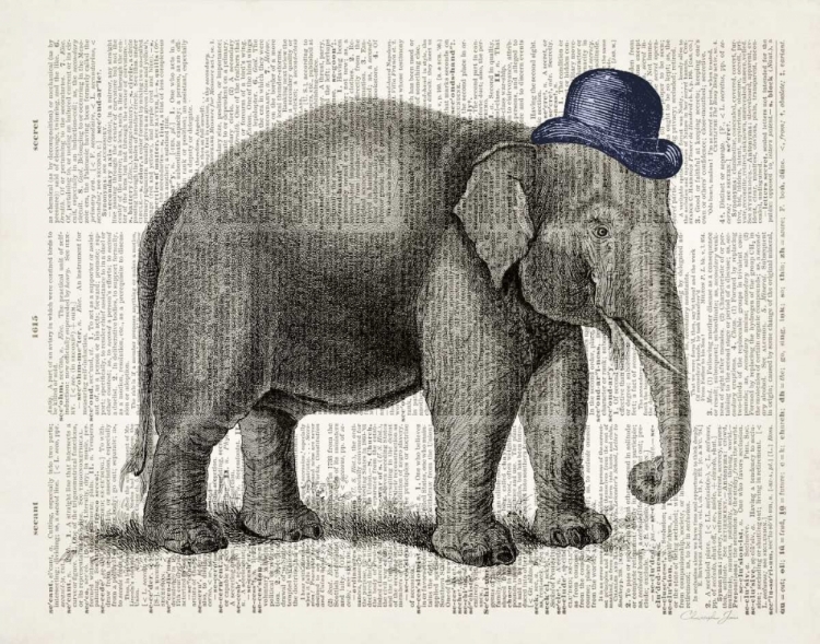 Picture of ELEPHANT IN A BOWLER