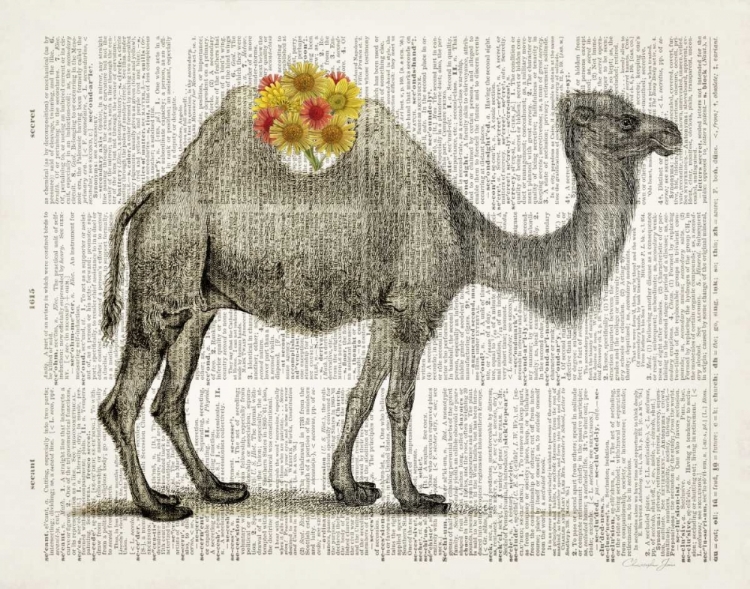 Picture of FLOWER BACK CAMEL
