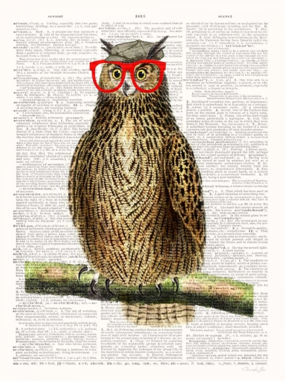 Picture of STUDIOUS OWL