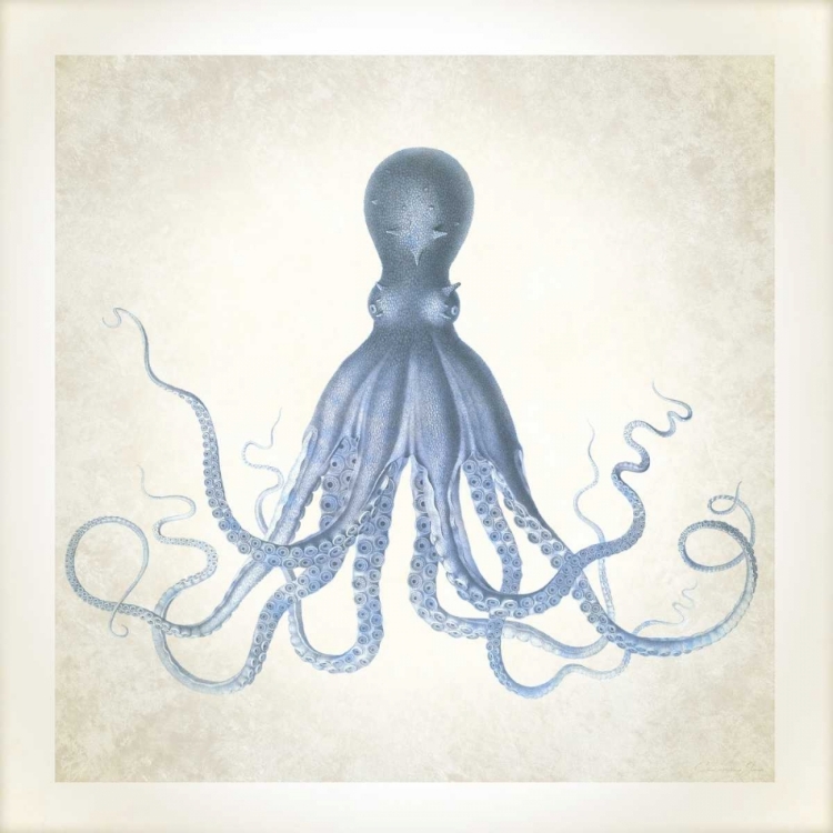 Picture of SEA LIFE, OCTOPUS