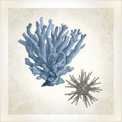 Picture of SEA LIFE, CORAL