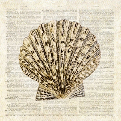 Picture of SCALLOP SHELL PAGES