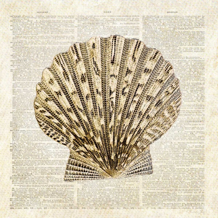 Picture of SCALLOP SHELL PAGES