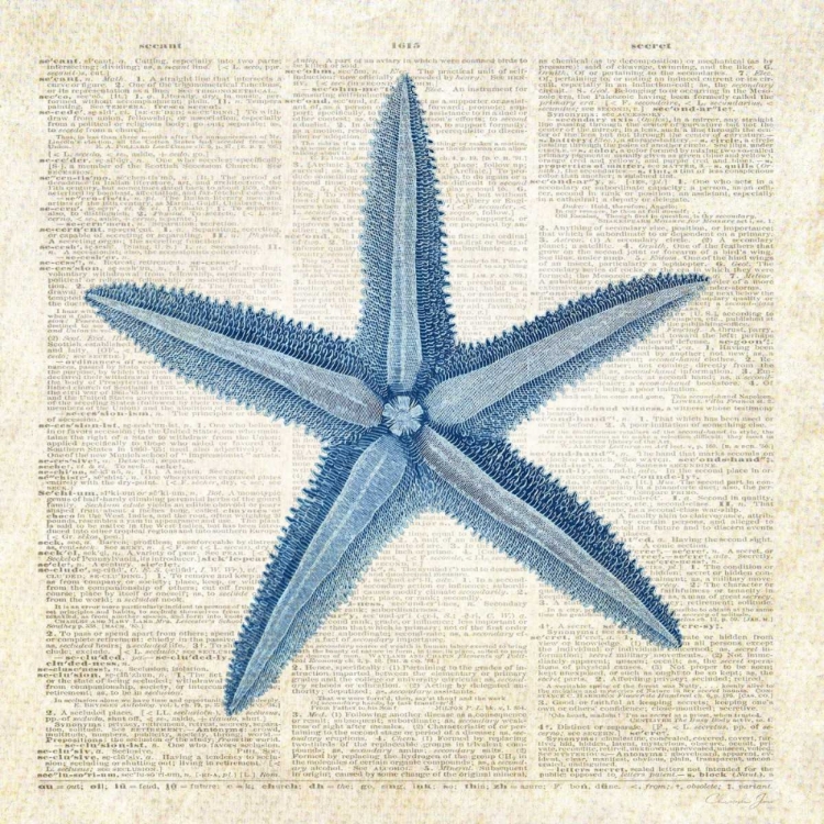 Picture of STARFISH PAGES
