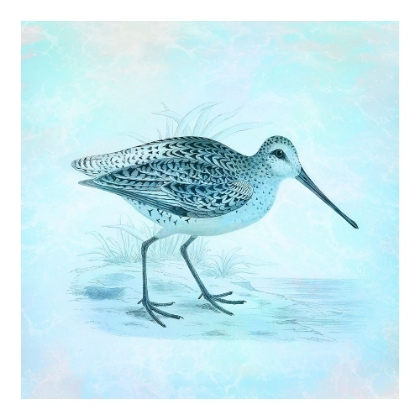 Picture of AT THE SEASHORE 1