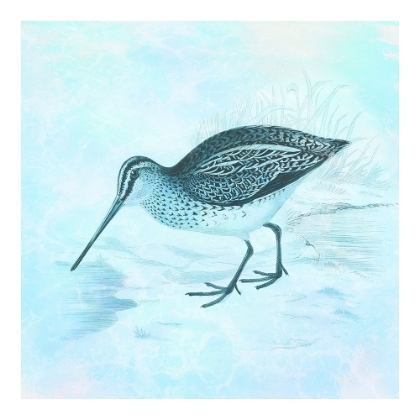 Picture of AT THE SEASHORE 2