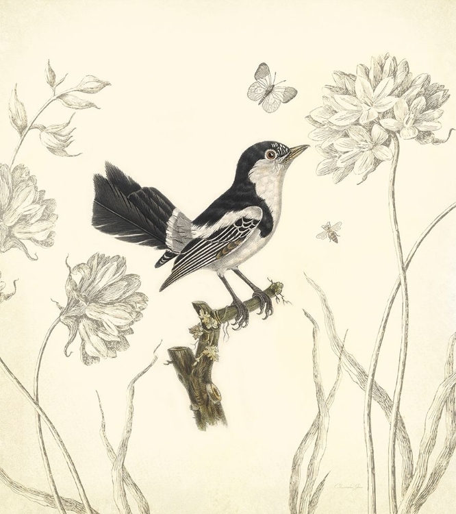 Picture of BOTANICAL SONG BIRD 1