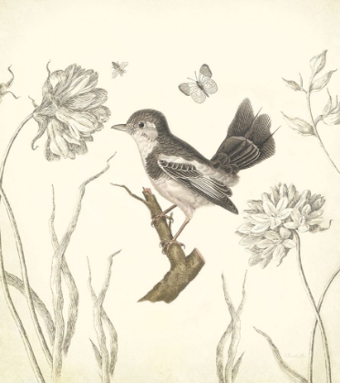 Picture of BOTANICAL SONG BIRD 2