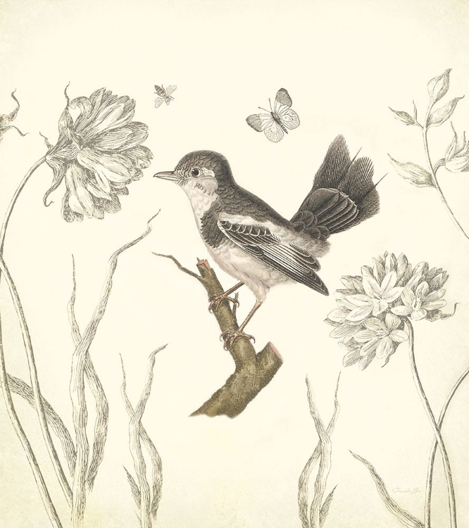 Picture of BOTANICAL SONG BIRD 2