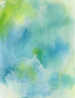 Picture of GARDEN ABSTRACTION 10