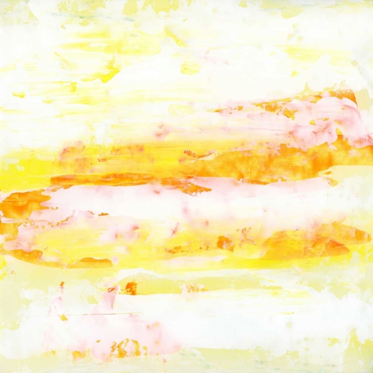 Picture of GARDEN ABSTRACTION 13