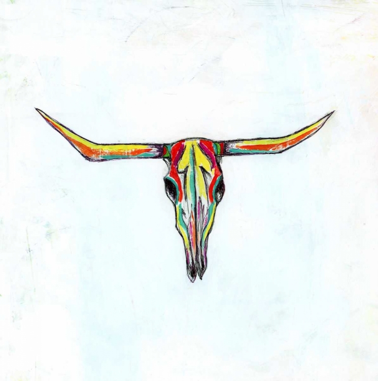 Picture of COW SKULL