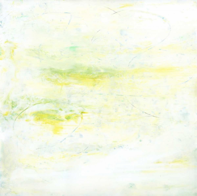 Picture of GARDEN ABSTRACTION 17