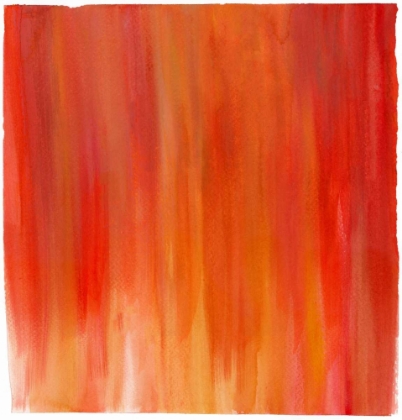 Picture of GARDEN ABSTRACTION 20