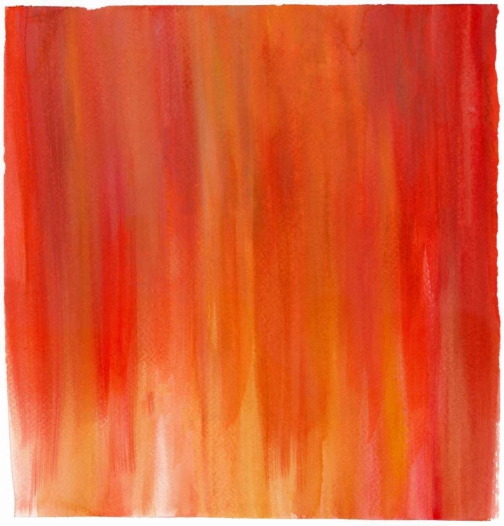 Picture of GARDEN ABSTRACTION 20