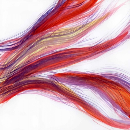 Picture of GARDEN ABSTRACTION 22