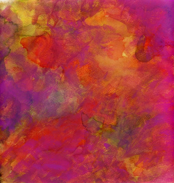 Picture of GARDEN ABSTRACTION 30