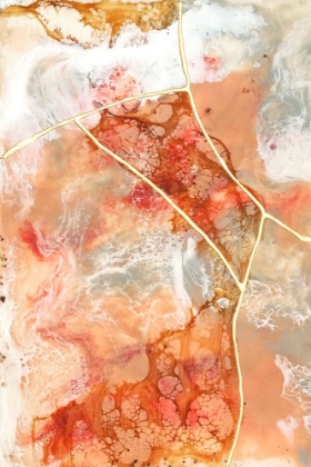 Picture of CORAL LACE I