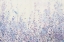 Picture of SOFT FOCUS I