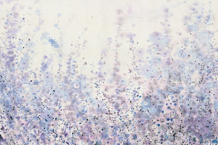 Picture of SOFT FOCUS I