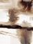 Picture of VARIEGATED ABSTRACT II