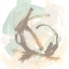 Picture of INTANGIBLE V