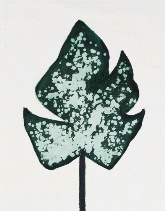 Picture of LEAFLETS I