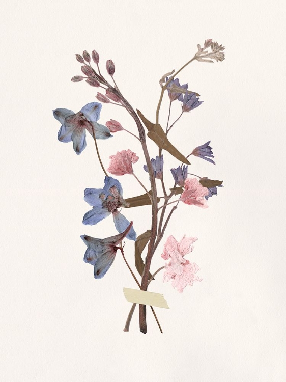 Picture of PASTEL KEEPSAKE I