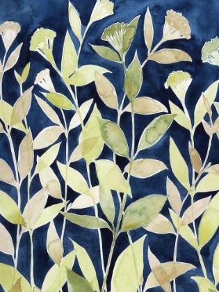 Picture of INDIGO BLOOMING NIGHT II