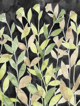 Picture of INK BLOOMING NIGHT I