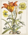 Picture of DUTCH FLORALS V