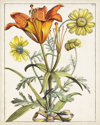 Picture of DUTCH FLORALS V