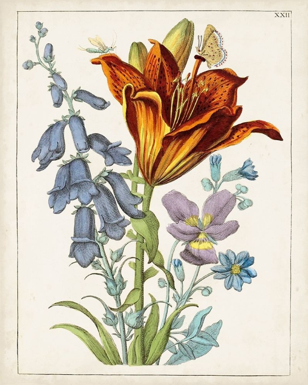Picture of DUTCH FLORALS VI