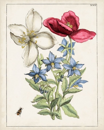 Picture of DUTCH FLORALS IX