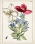 Picture of DUTCH FLORALS IX