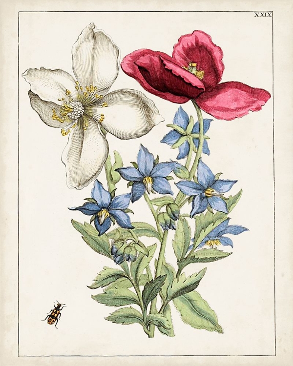 Picture of DUTCH FLORALS IX