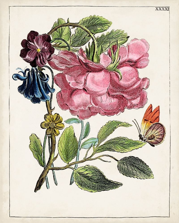Picture of DUTCH FLORALS XII
