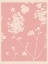 Picture of PINK WILDFLOWER SILHOUETTE I