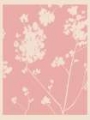 Picture of PINK WILDFLOWER SILHOUETTE I