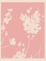 Picture of PINK WILDFLOWER SILHOUETTE II