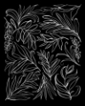 Picture of BLACK AND WHITE CUTTINGS II