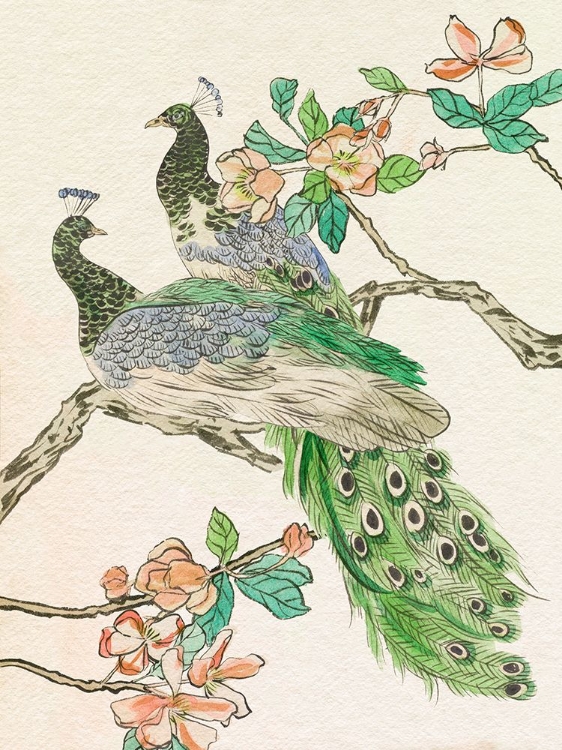 Picture of EMERALD PEACOCK II