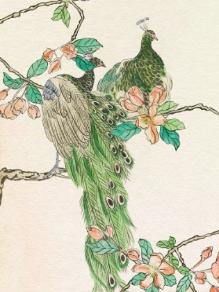 Picture of EMERALD PEACOCK III