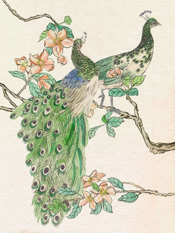 Picture of EMERALD PEACOCK IV