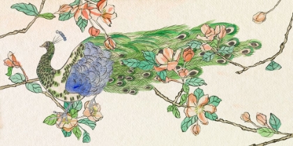 Picture of EMERALD PEACOCK V